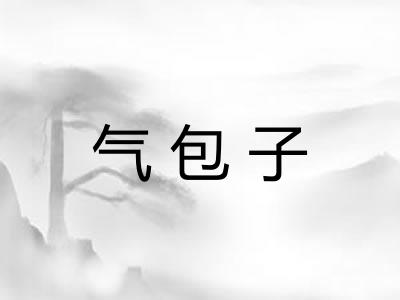 气包子