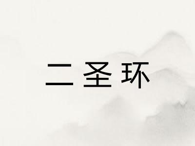 二圣环