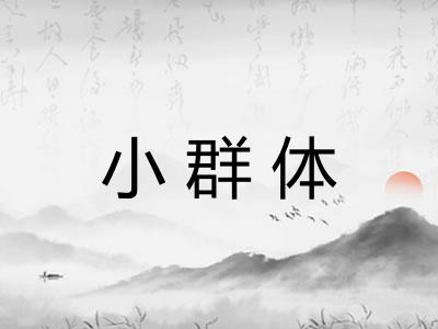 小群体