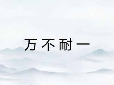 万不耐一