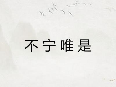 不宁唯是