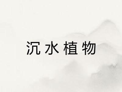 沉水植物