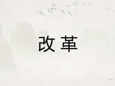 改革