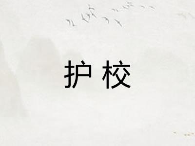 护校