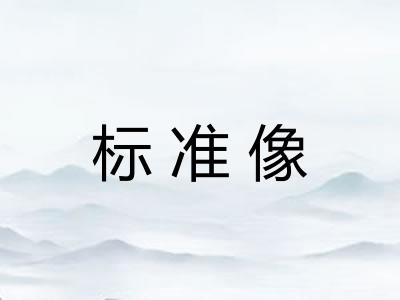 标准像