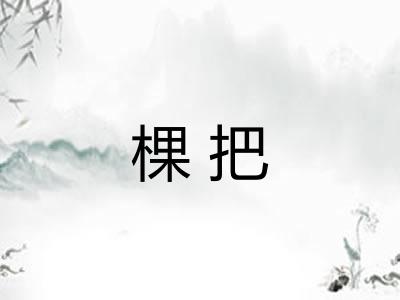 棵把