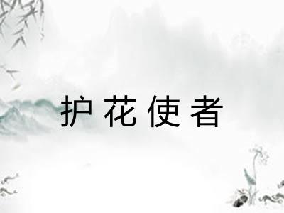 护花使者