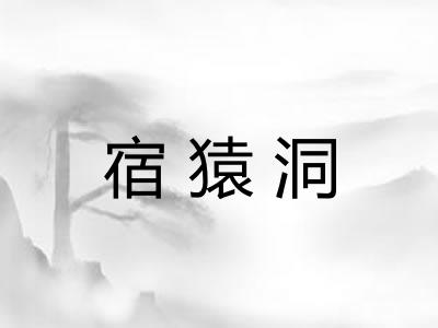 宿猿洞
