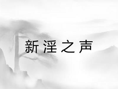 新淫之声