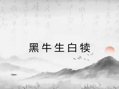 黑牛生白犊