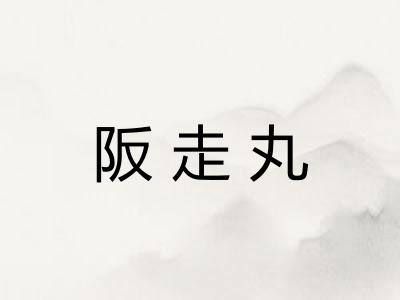阪走丸