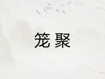 笼聚