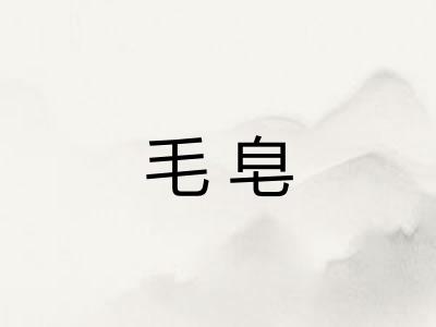 毛皂