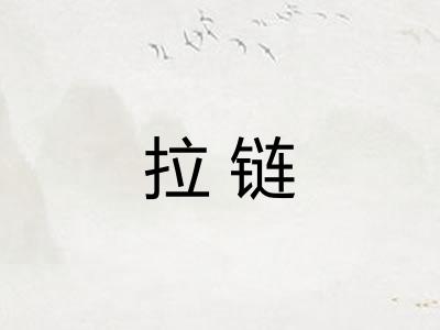 拉链