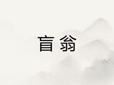 盲翁