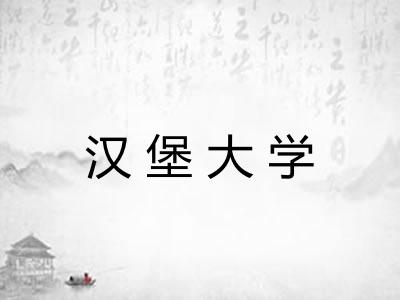 汉堡大学