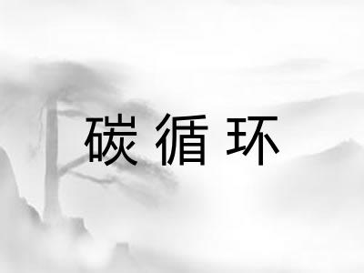 碳循环