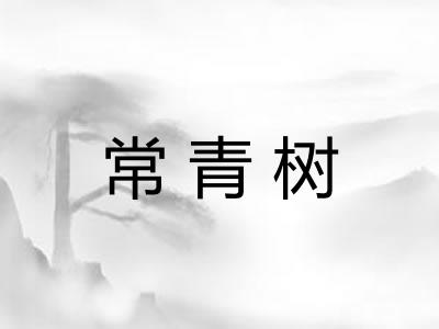 常青树