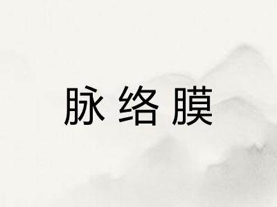 脉络膜