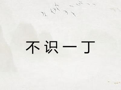 不识一丁