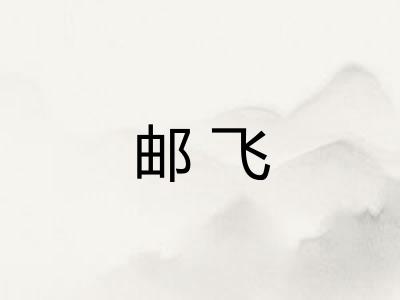 邮飞
