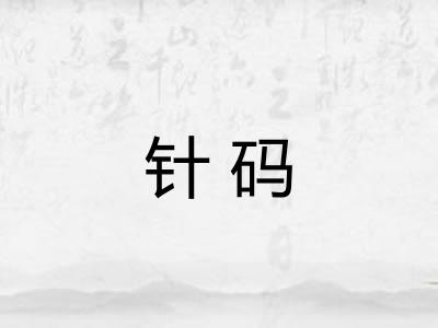 针码