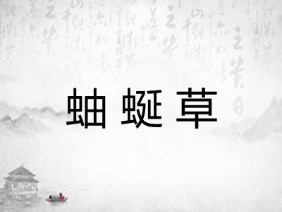 蚰蜒草