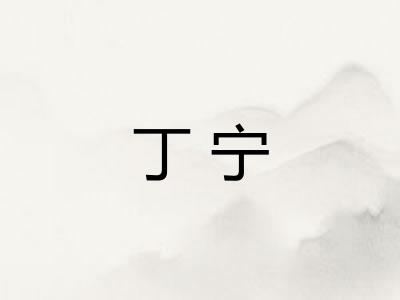 丁宁