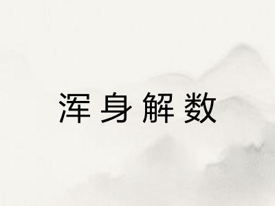 浑身解数