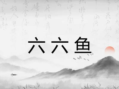 六六鱼