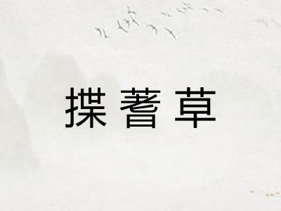 揲蓍草