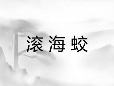 滚海蛟