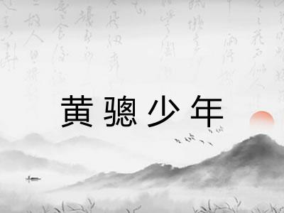 黄骢少年