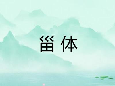 甾体