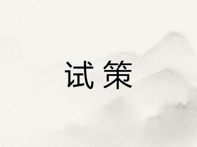 试策