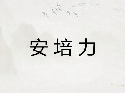 安培力