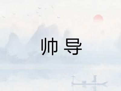 帅导