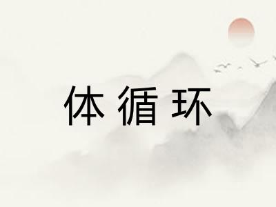 体循环