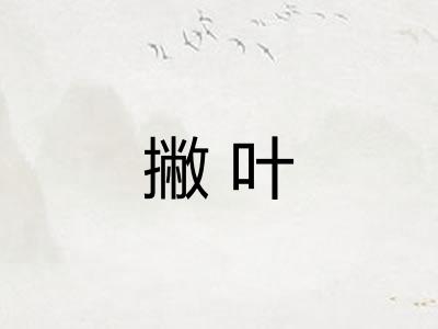 撇叶