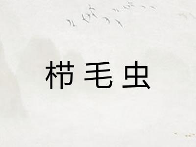 栉毛虫