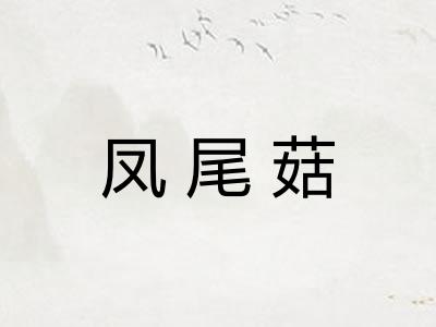 凤尾菇