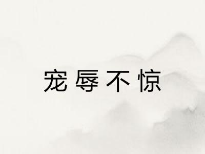 宠辱不惊