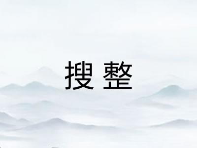 搜整