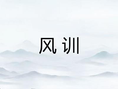 风训