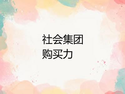 社会集团购买力