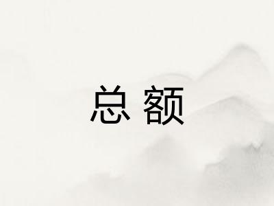 总额