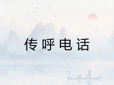 传呼电话