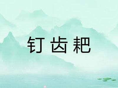 钉齿耙