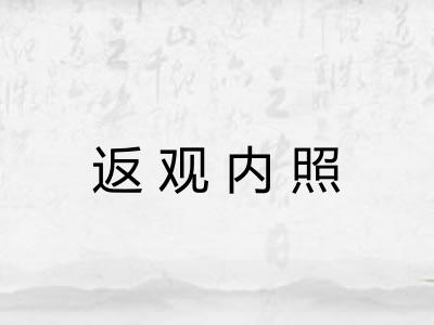 返观内照