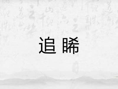 追睎